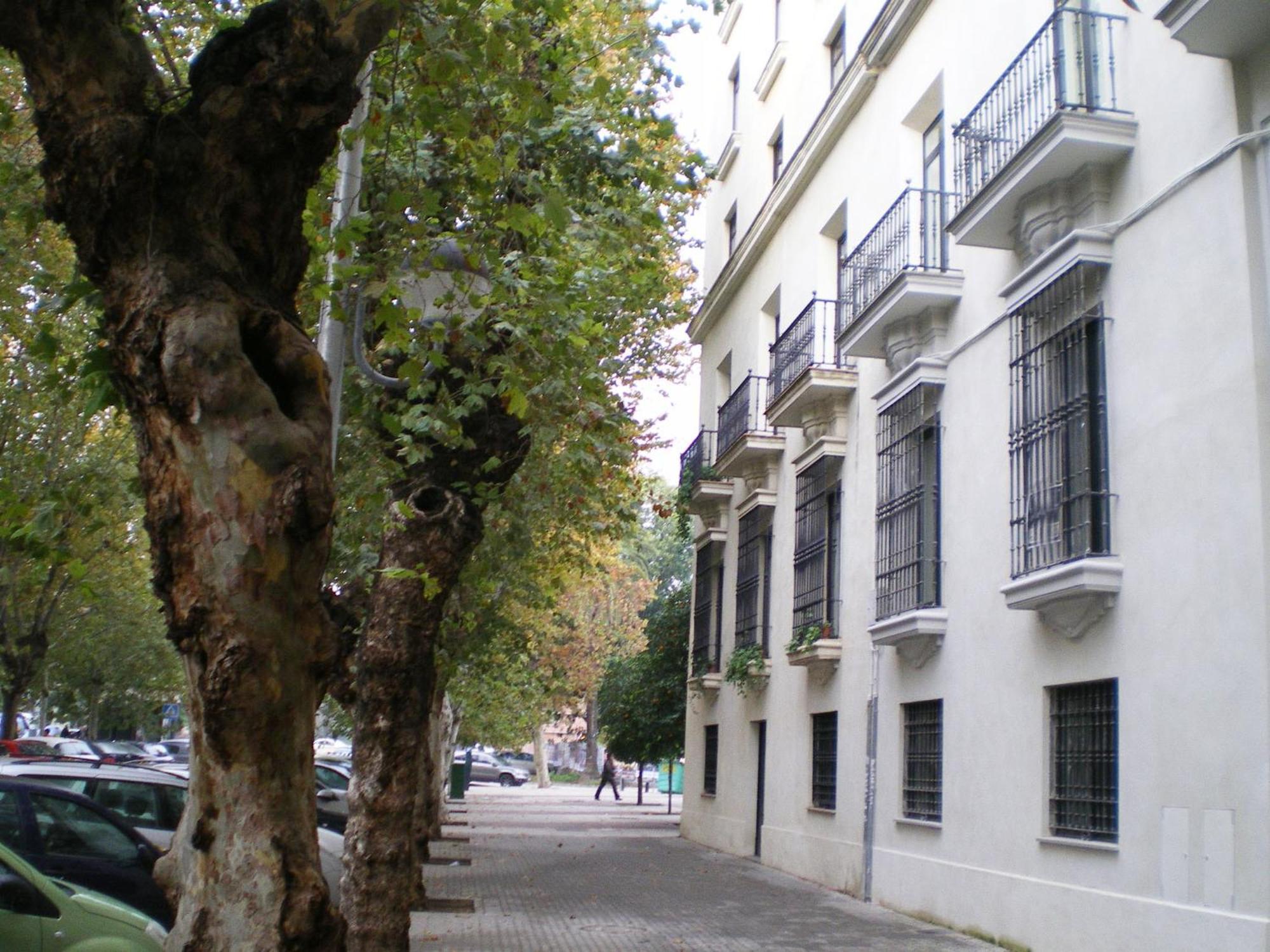 Apartamentos Murallas De Sevilla Eksteriør billede