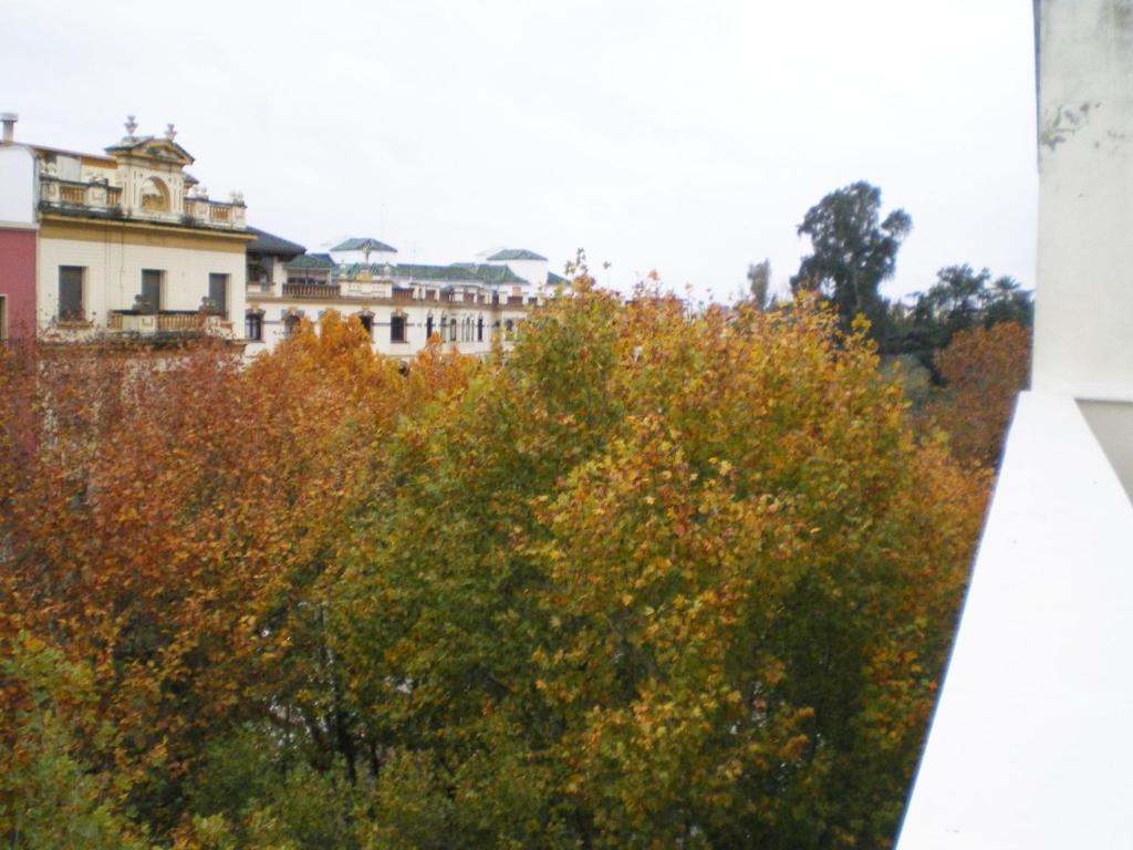 Apartamentos Murallas De Sevilla Eksteriør billede